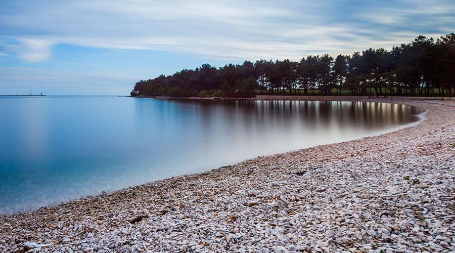 Apartman Ivo Leilighet Novigrad Istria Eksteriør bilde